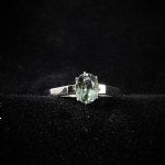 1699 3260 Ring